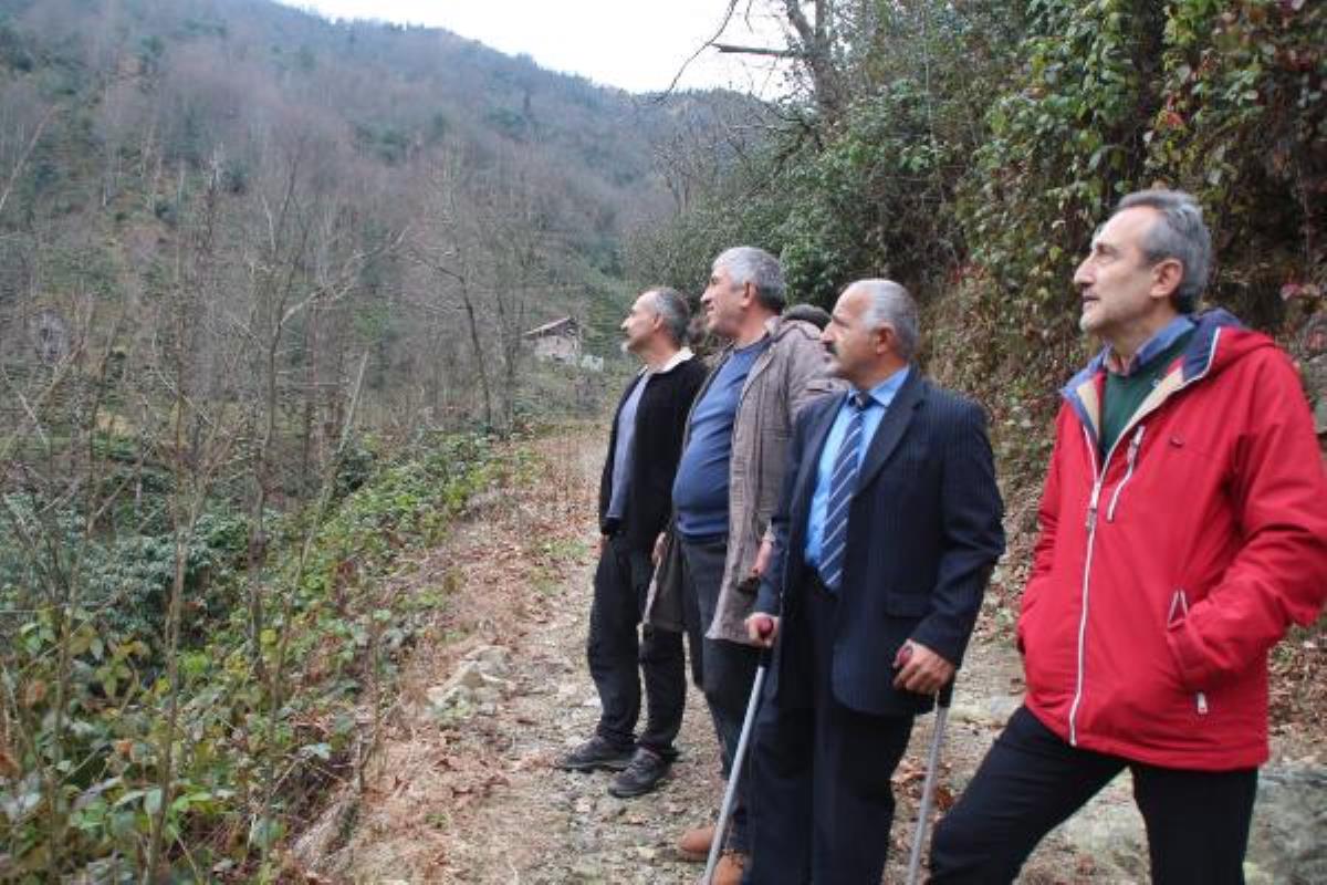 Son dakika haberi | 'BAL ORMANI'NA TAŞ OCAĞINA 'ÇED GEREKLİ DEĞİL' KARARI İPTAL